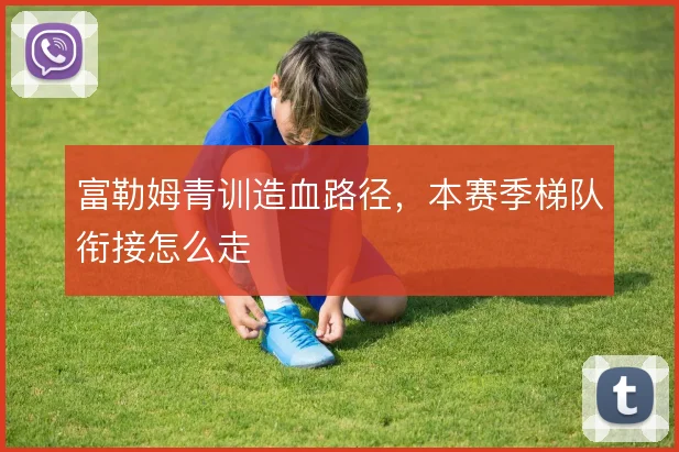 富勒姆青训造血路径,本赛季梯队衔接怎么走