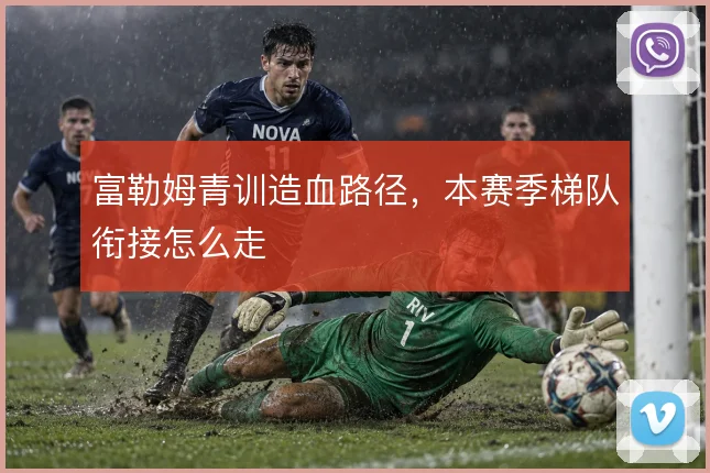 富勒姆青训造血路径,本赛季梯队衔接怎么走